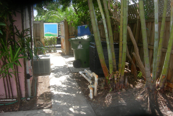 landscape cleanup and renovation